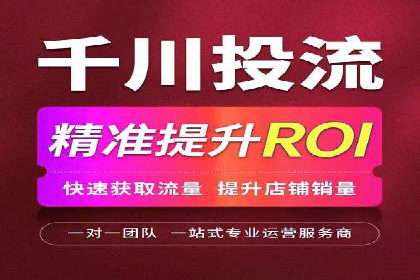 某知名品牌SEM运营策略及效果评估